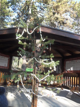 Vianočný stromček pre zvieratká v ZOO