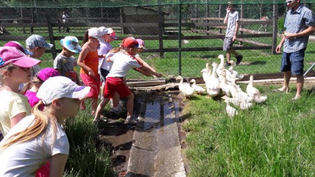 Vláčikom na Rematu