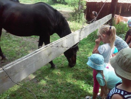 Návšteva farmy v Malinovej