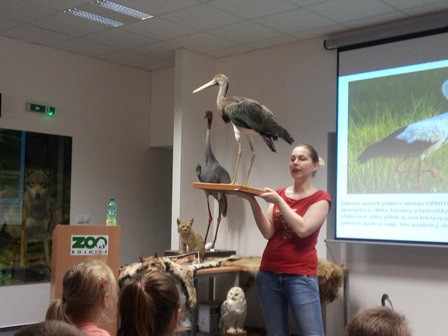 Svetový deň vtáctva 