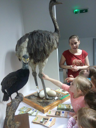 Svetový deň vtáctva