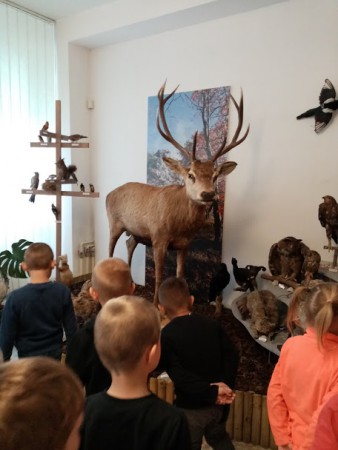 Jesenné variácie - V ríši zvierat