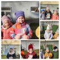 /album/vtacie-budky/20220214-093843-collage-jpg/