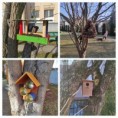 /album/vtacie-budky/img-20220214-095113-collage-jpg/