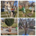 /album/vtacie-budky/img-20220214-095312-collage-jpg/